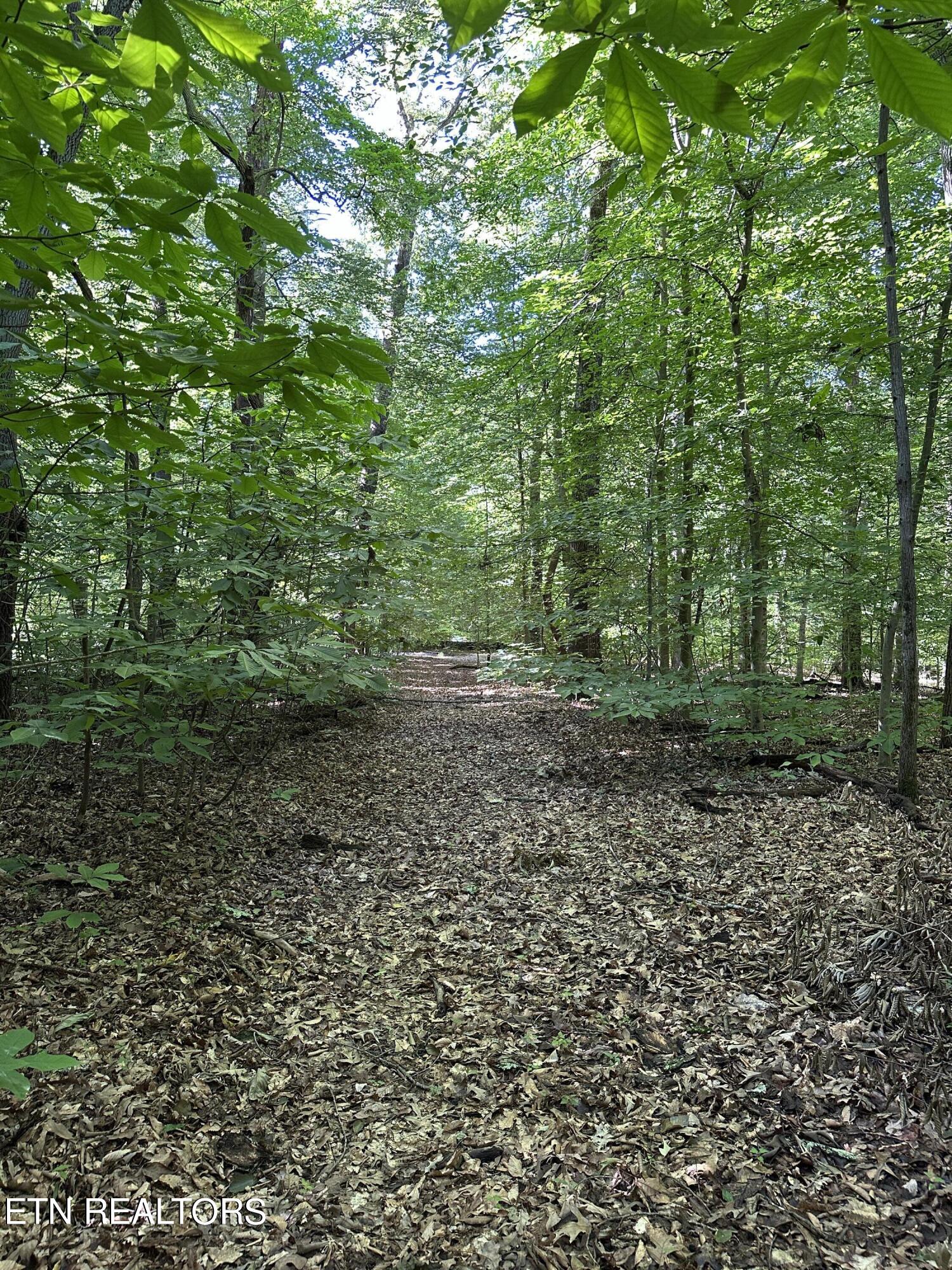 00 Williams East (42 acres) Rd