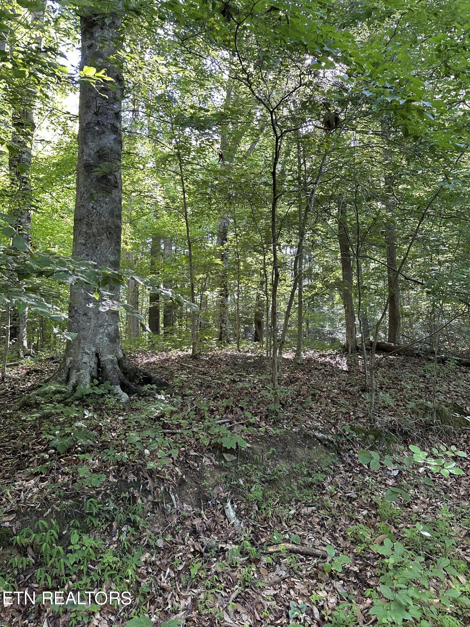 00 Williams East (42 acres) Rd