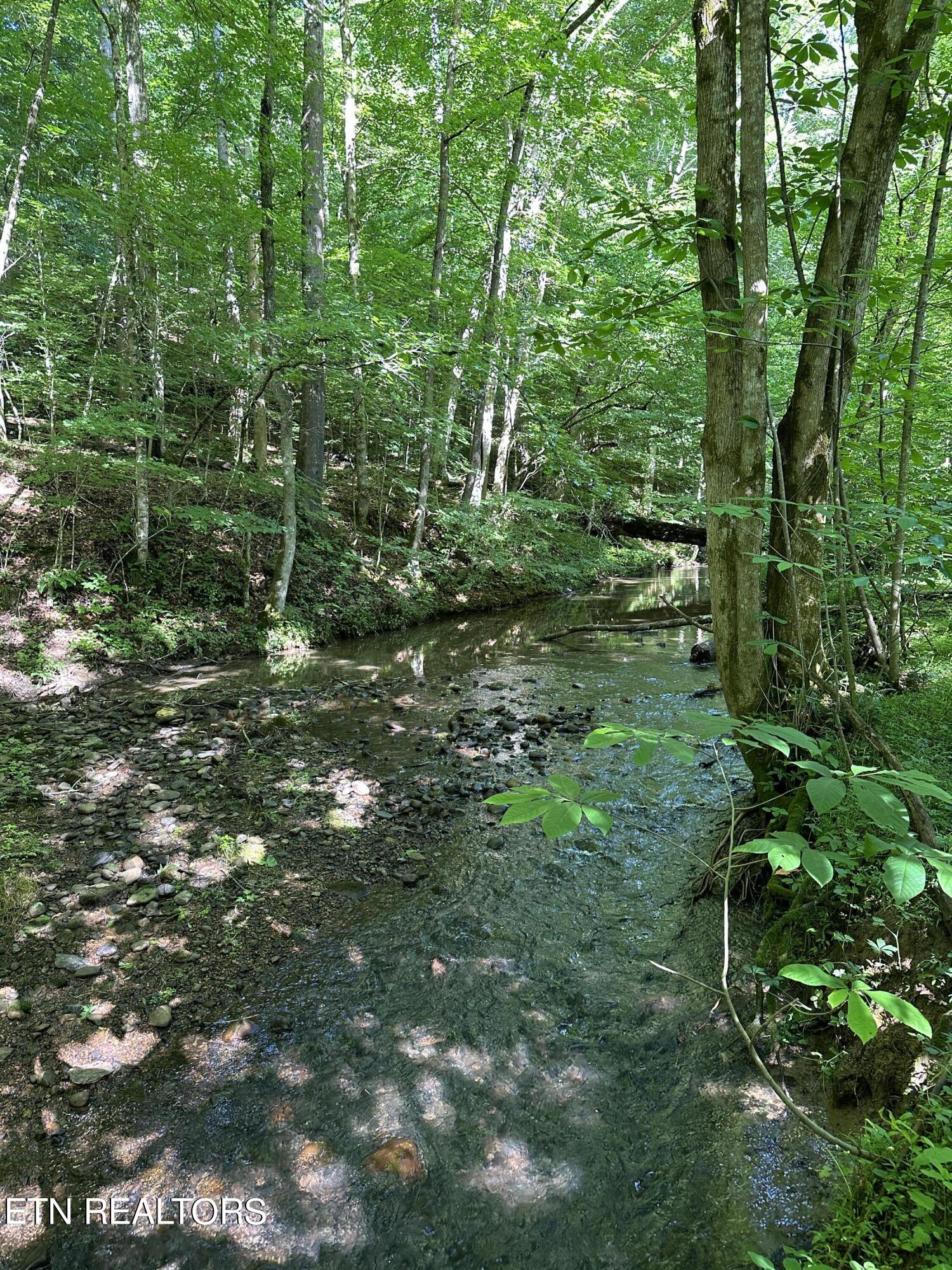 00 Williams East (42 acres) Rd