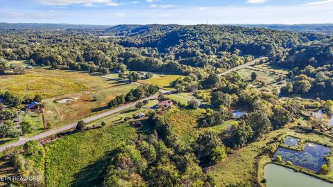 Tiny photo for 3731 Highway 39W, Riceville, TN 37370 (MLS # 1317692)