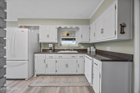 Tiny photo for 3731 Highway 39W, Riceville, TN 37370 (MLS # 1317692)
