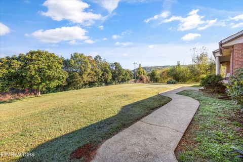 Tiny photo for 3731 Highway 39W, Riceville, TN 37370 (MLS # 1317692)
