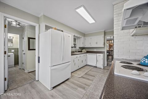 Tiny photo for 3731 Highway 39W, Riceville, TN 37370 (MLS # 1317692)