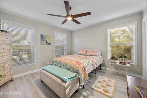 Tiny photo for 3731 Highway 39W, Riceville, TN 37370 (MLS # 1317692)