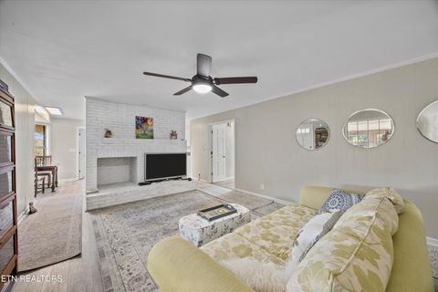 Tiny photo for 3731 Highway 39W, Riceville, TN 37370 (MLS # 1317692)