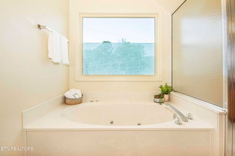 Tiny photo for 176 Ganega Tr, Vonore, TN 37885 (MLS # 1315470)