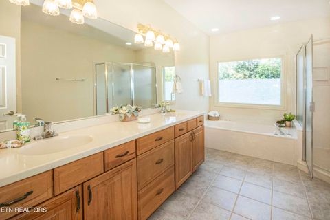Tiny photo for 176 Ganega Tr, Vonore, TN 37885 (MLS # 1315470)