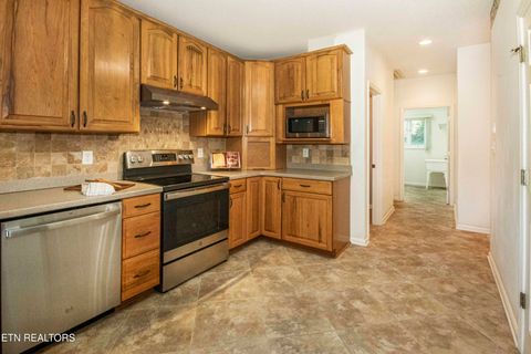 Tiny photo for 176 Ganega Tr, Vonore, TN 37885 (MLS # 1315470)