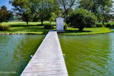 Tiny photo for 176 Ganega Tr, Vonore, TN 37885 (MLS # 1315470)