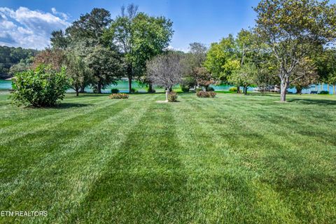 Tiny photo for 176 Ganega Tr, Vonore, TN 37885 (MLS # 1315470)