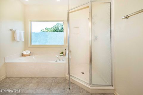 Tiny photo for 176 Ganega Tr, Vonore, TN 37885 (MLS # 1315470)