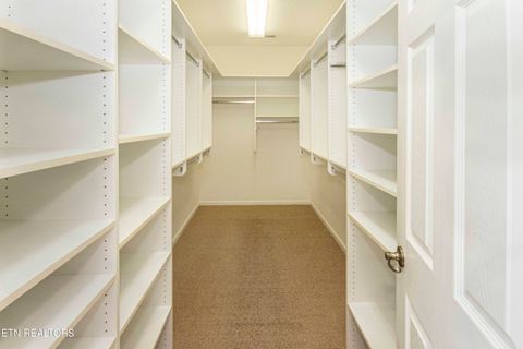 Tiny photo for 176 Ganega Tr, Vonore, TN 37885 (MLS # 1315470)