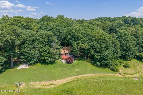 Tiny photo for 1435 Collins Rd, New Market, TN 37820 (MLS # 1349308)