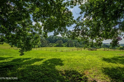 Tiny photo for 1435 Collins Rd, New Market, TN 37820 (MLS # 1349308)