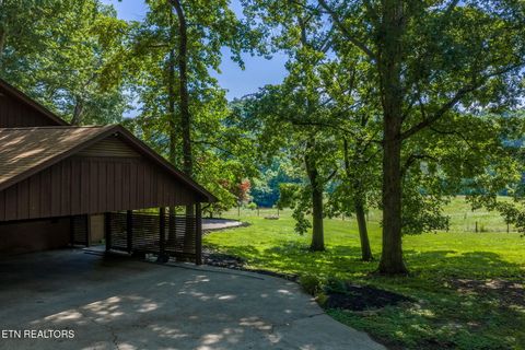 Tiny photo for 1435 Collins Rd, New Market, TN 37820 (MLS # 1349308)