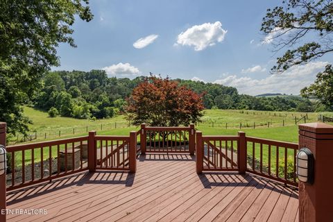 Tiny photo for 1435 Collins Rd, New Market, TN 37820 (MLS # 1349308)