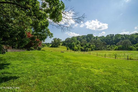Tiny photo for 1435 Collins Rd, New Market, TN 37820 (MLS # 1349308)