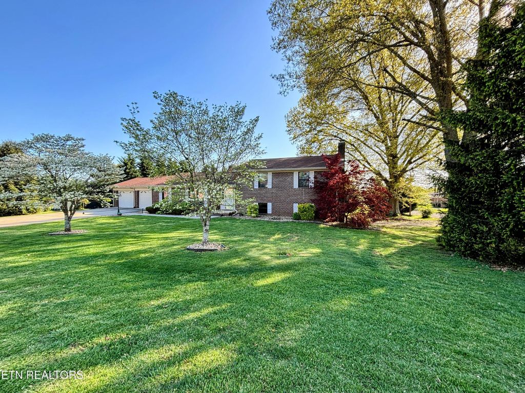 Photo of 573 Shaver Drive, Talbott, TN 37877 (MLS # 1293263)