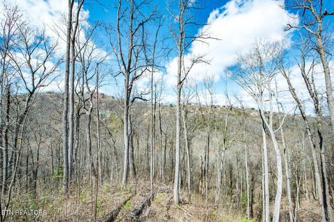 Tiny photo for 921 Statham Way, Gatlinburg, TN 37738 (MLS # 1326327)