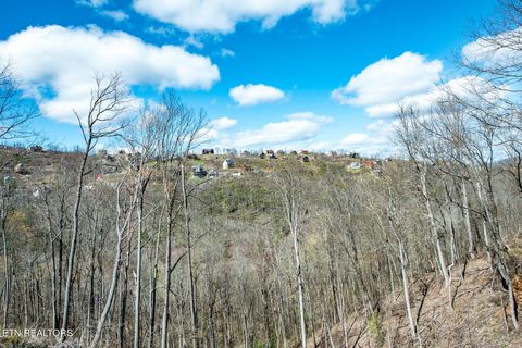 Tiny photo for 921 Statham Way, Gatlinburg, TN 37738 (MLS # 1326327)