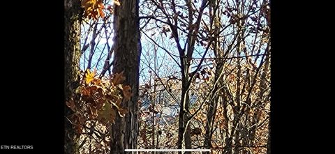 419 Mountain View Drive Vonore TN 37885