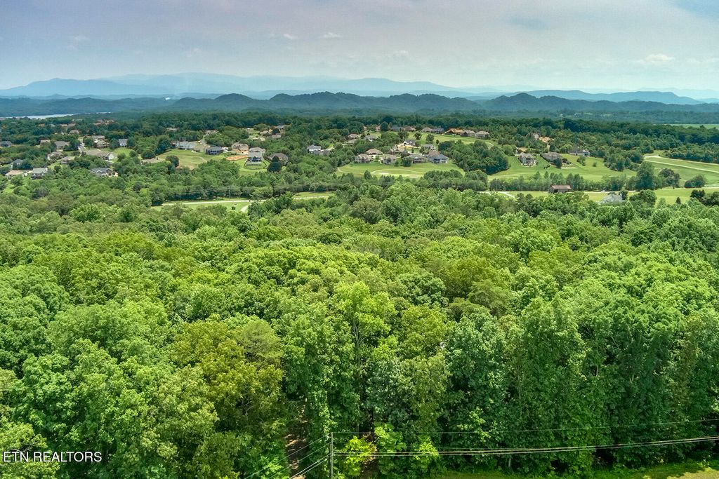 Photo of 419 Mountain View Drive, Vonore, TN 37885 (MLS # 1300116)