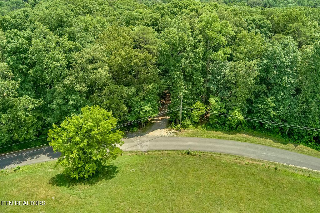 Photo of 419 Mountain View Drive, Vonore, TN 37885 (MLS # 1300116)