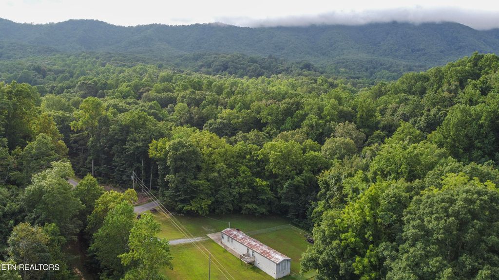 Photo of 2920 Grapevine Hollow Road Rd, Dandridge, TN 37725 (MLS # 1311845)