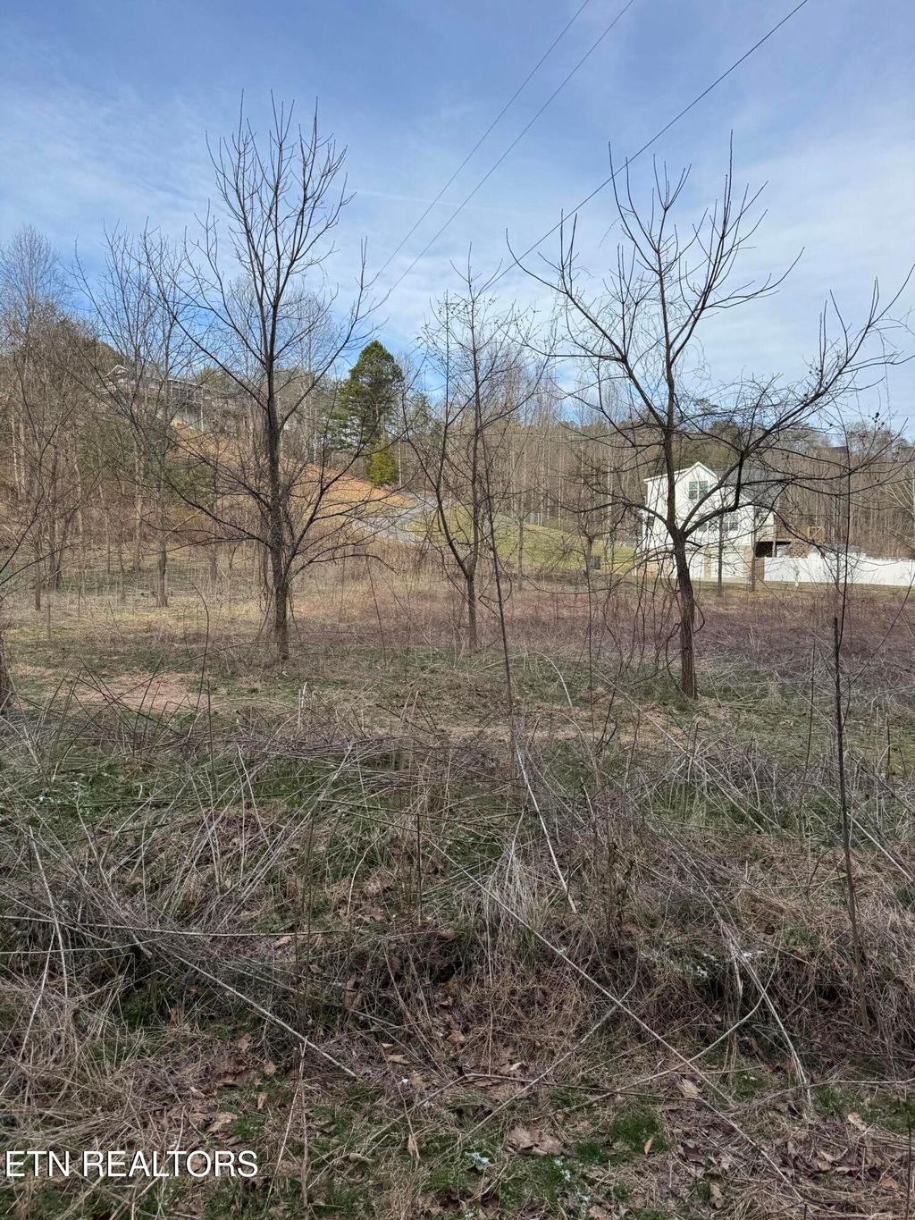 Photo of 11 Katelyns Lane, Sevierville, TN 37876 (MLS # 1332797)