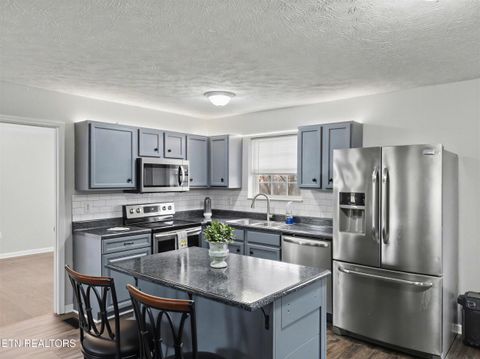 Tiny photo for 1916 Big Chiefs Skyview Drive, Sevierville, TN 37876 (MLS # 1331165)