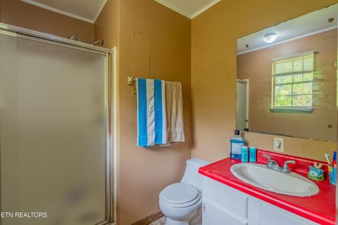 Tiny photo for 1623 Bluff Rd, Harriman, TN 37748 (MLS # 1339523)