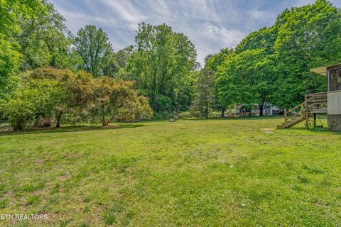 Tiny photo for 1623 Bluff Rd, Harriman, TN 37748 (MLS # 1339523)