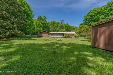 Tiny photo for 1623 Bluff Rd, Harriman, TN 37748 (MLS # 1339523)
