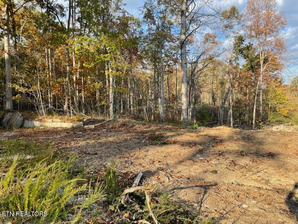 Photo of 1707 Paint Rock Ferry Rd, Kingston, TN 37763 (MLS # 1282106)