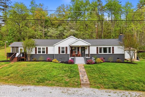 Photo of 224 W Millers Cove Rd, Walland, TN 37886 (MLS # 1336893)