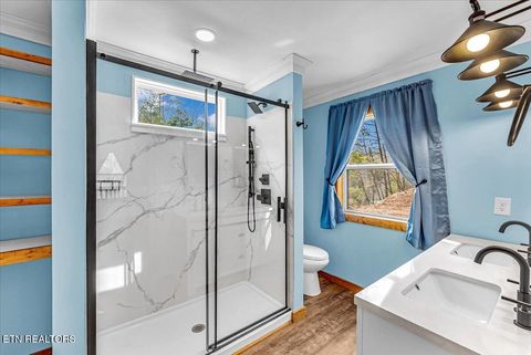 Tiny photo for 2321 Willow Lane, Sevierville, TN 37862 (MLS # 1329405)