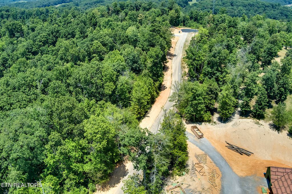 Photo of 411 Travellers Way, Lenoir City, TN 37771 (MLS # 1315787)