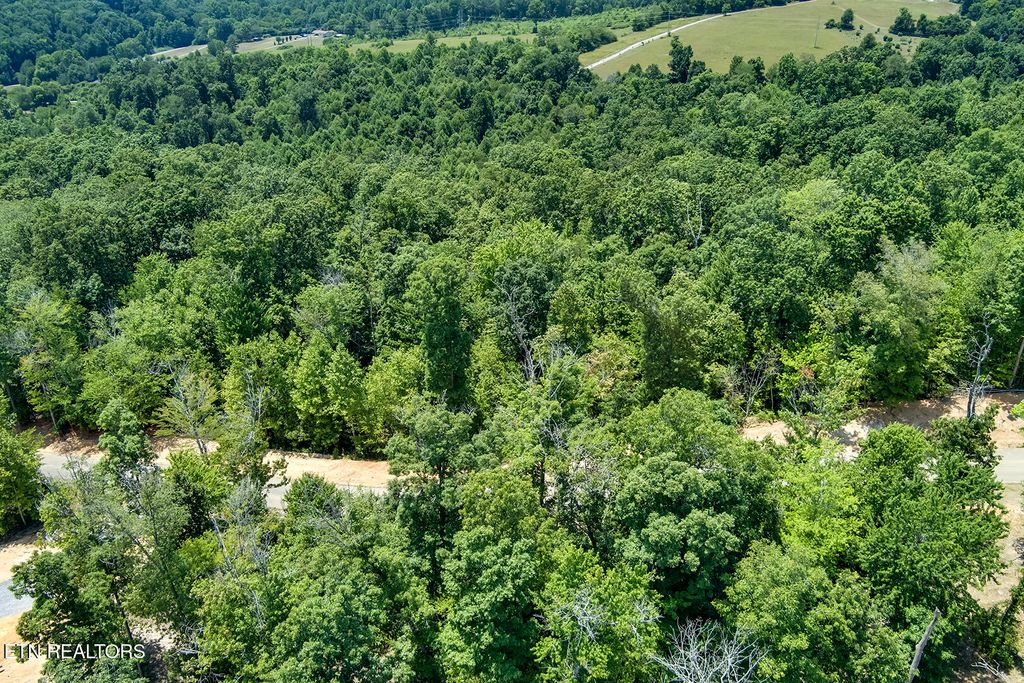 Photo of 411 Travellers Way, Lenoir City, TN 37771 (MLS # 1315787)