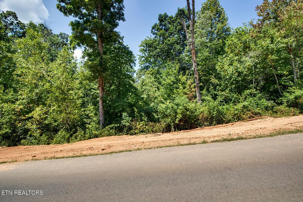 Photo of 411 Travellers Way, Lenoir City, TN 37771 (MLS # 1315787)