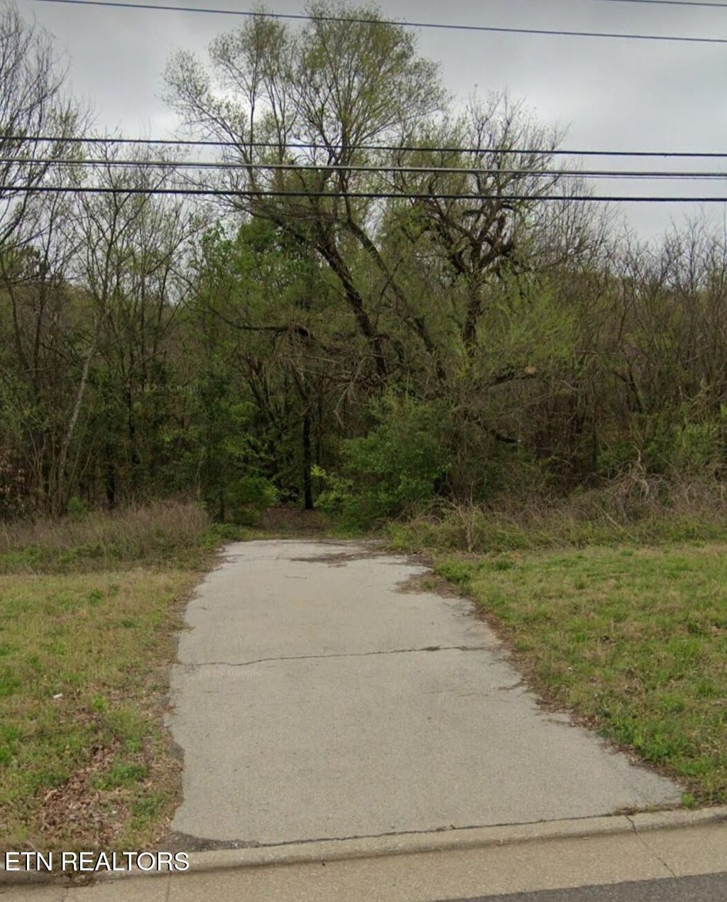 Photo of Highway 411 S., Greenback, TN 37742 (MLS # 1312855)