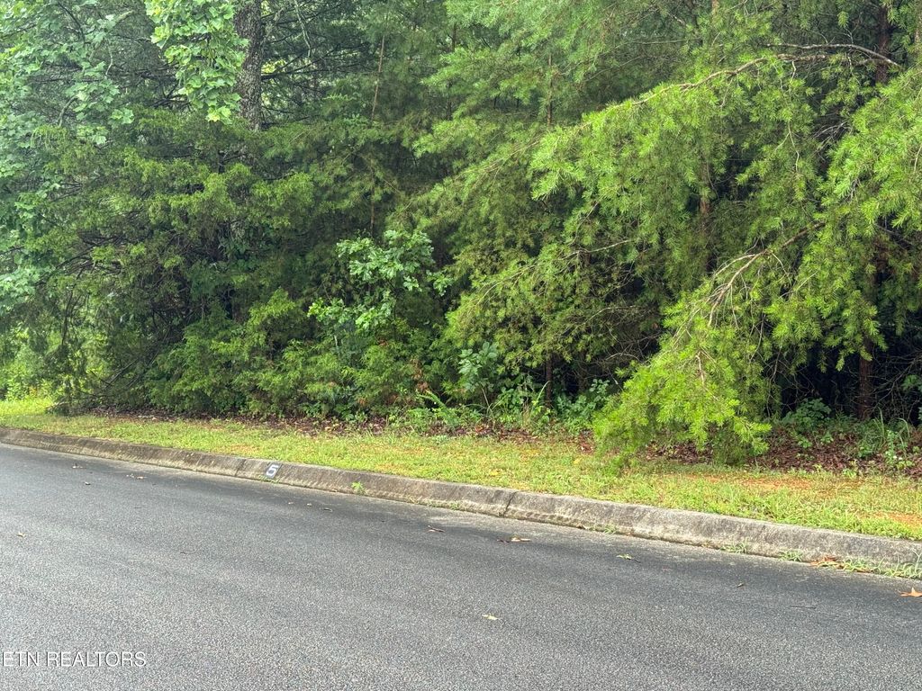 Photo of 0 Evergreen Cove Lot 5 St, Kingston, TN 37763 (MLS # 1347243)