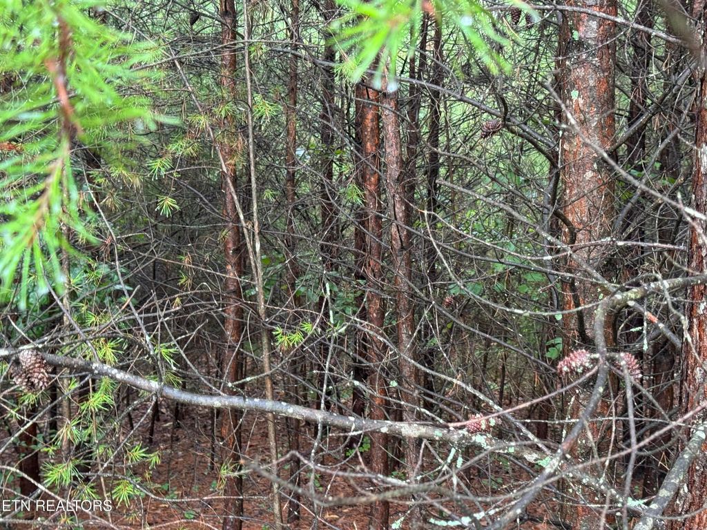 Photo of 0 Evergreen Cove Lot 5 St, Kingston, TN 37763 (MLS # 1347243)