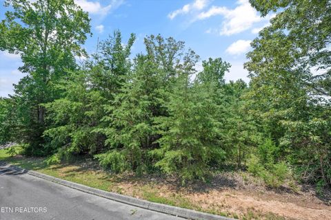 Tiny photo for 0 Evergreen Cove Lot 5 St, Kingston, TN 37763 (MLS # 1347243)
