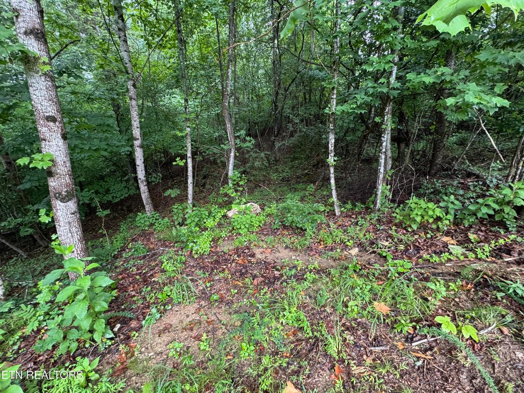 Photo of 0 Evergreen Cove Lot 5 St, Kingston, TN 37763 (MLS # 1347243)