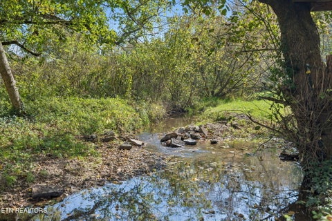 Tiny photo for 3134 Highway 131, Washburn, TN 37888 (MLS # 1359276)