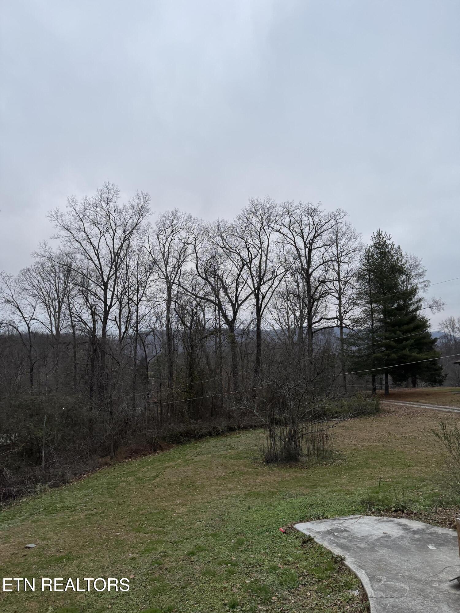 228 Tree Circle