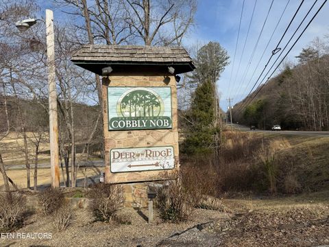 Tiny photo for 3710 Weber Rd #303 -E, Gatlinburg, TN 37738 (MLS # 1329396)