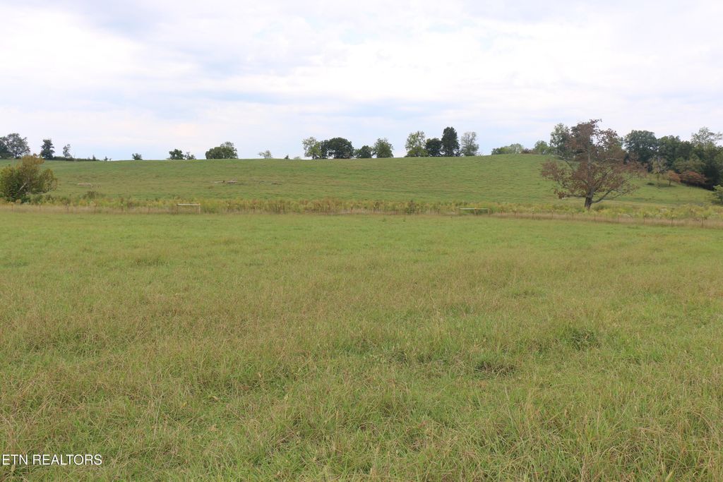 Photo of 1163 County Road 461, Englewood, TN 37329 (MLS # 1315578)