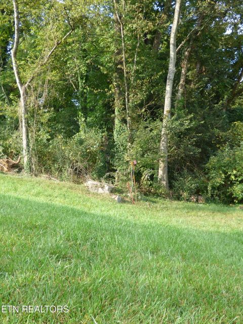 Tiny photo for 145 W Meeting St, Dandridge, TN 37725 (MLS # 1315680)