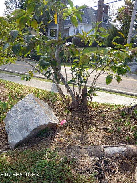 Tiny photo for 145 W Meeting St, Dandridge, TN 37725 (MLS # 1315680)